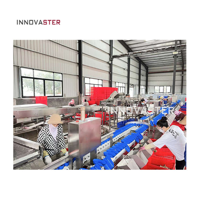 Multifunktionelle automatische Industriefördermaschine zur Gewichtsbewertung von Früchten