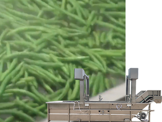 Wasserrecycling SUS 304 Gantry Lift Tank Gemüse- und Obstwaschmaschine für Design