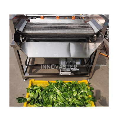 Einfache Bedienung Automatische Gemüsewaschmaschine Obstwaschmaschine Erdnussblase Reinigungsmaschine