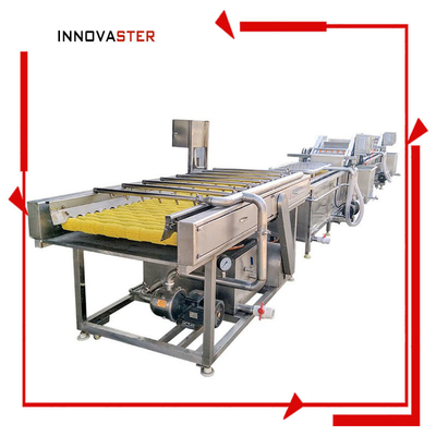 SUS 304 Einzeltankwaschmaschine für Gemüse- und Obstprodukte mit industriellem Wasserkreislauf