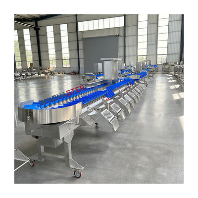 220V/380V Automatischer Fisch, Austern, Gemüse, Mango, Avocado-Gewichtsgrader für den Markt
