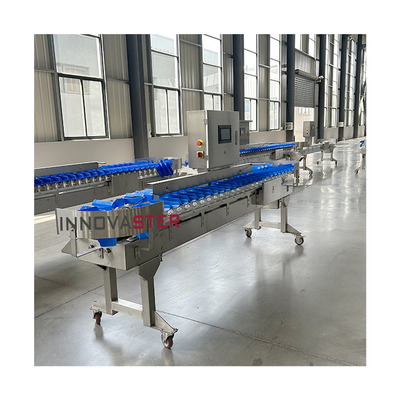 Ausrüstung für die Lebensmittelindustrie Automatische Garnelen Meeresfrüchte Fisch Gewichtsprüfung Sorter Sortiermaschine
