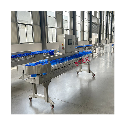 Modernste Sortiermaschine für Obst- und Gemüsesorten mit Größe 6000x1250x1750mm