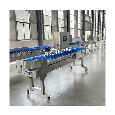 6000x1250x1750mm Meeresfrüchte Austern Fisch Gewichtssortierer für Lebensmittelindustrie Ausrüstung