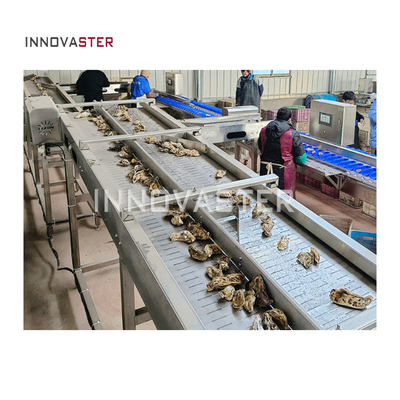 2500W Meeresfrüchte Fisch Garnelen Gewichtssortierung Waschen Austern Sortiermaschine 6000x1250x1750mm