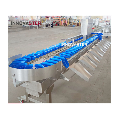 6000x1250x1750mm Meeresfrüchte Garnelen Hühnerfüße Gewichtsgradierer für die Lebensmittelindustrie