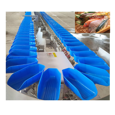 Fischverarbeitungsgeräte Einfache Bedienung Rotationsgrader Austerngewichtssortiermaschine 220V/380V