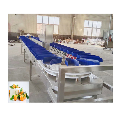 6000x1250x1750mm Hochgenauigkeit Orange Gefrierter Meeresfrüchte Gewichtssortiermaschine Leistung