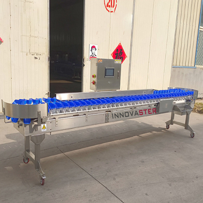 Lebensmittelgeschäft Prüfeinheiten Wieger Austern Gewichtssortiermaschine für Obst und Gemüse 6000x1250x1750mm
