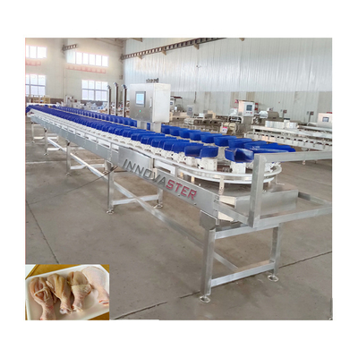 Gewerblicher Gebrauch Loadcell Gemüsesortiermaschine für Meeresfrüchte Fisch Garnelen Muschel