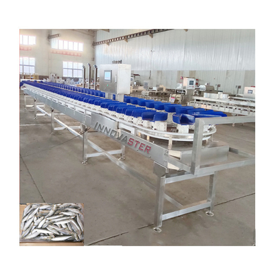 6000x1250x1750mm Gefrierter Hühnchenbein/Flügel/Abalone Gewichtungs- und Sortiermaschine 500 KG