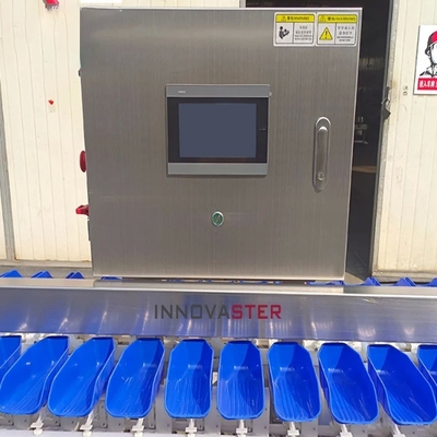 Genaue Sortierung Automatische Gewichtsklassifiziermaschine für Lebensmittelindustrie Ausrüstung 500 KG