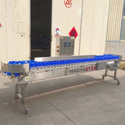 Genaue Sortierung Automatische Gewichtsklassifiziermaschine für Lebensmittelindustrie Ausrüstung 500 KG
