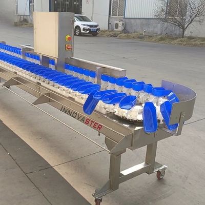 Genaue Sortierung Automatische Gewichtsklassifiziermaschine für Lebensmittelindustrie Ausrüstung 500 KG
