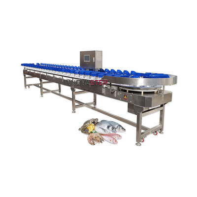 Lebensmittelgeschäft Förderband-Typ Gewichtssortiermaschine für Obst und Gemüse/Fisch/Meeresfrüchte