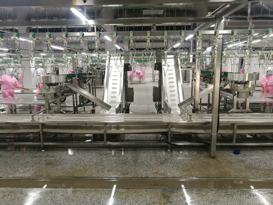 Hochgeschwindigkeitsmaschine mit mehreren Trays für die Sortierung von Fisch aus Austern für Fleischverarbeitung