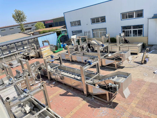 Einfache Bedienung Gantry Lifting Entfrostmaschine für Hühnerbein Hühnerflügel Fisch Garnelen